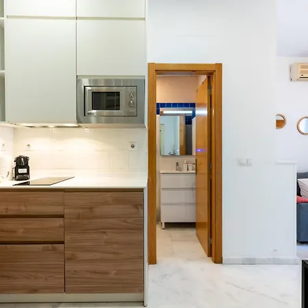 Duplex Con Terraza Junto A La Catedral Apartament